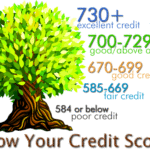 A tree with a scale of credit scores going down the side